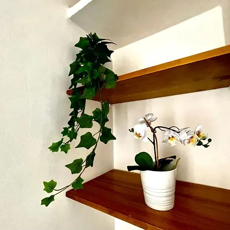 Apartment Amare Gaeta